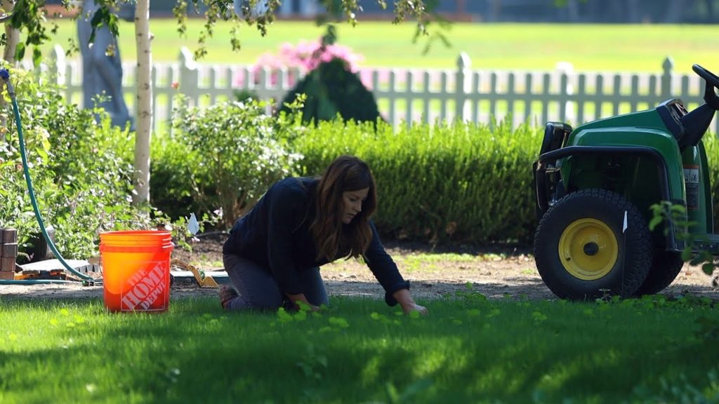Weeding the New Grass & Planting Dogwoods and Ornamental Grass! 🌿🌾💪 // Garden Answer