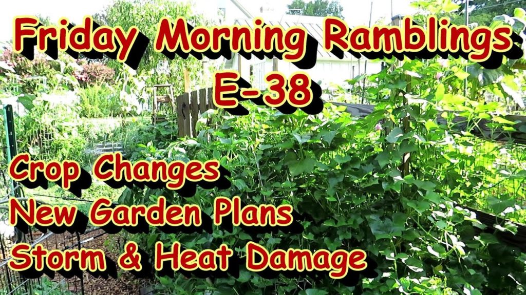 Gary Pilarchik: Summer Crops are Fading, New Garden Plans, Fall Crops are Planted: FM Gardening Ramblings E-38 Summer Crops are Fading, New Garden Plans, Fall Crops are Planted: FM Gardening Ramblings E-38
