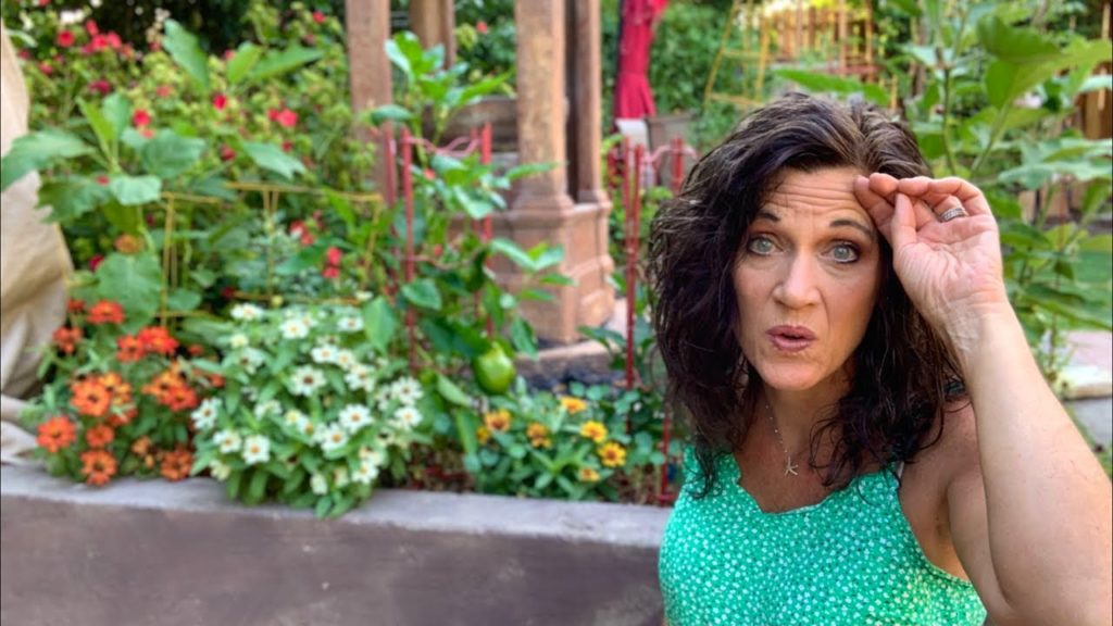 CaliKim: š„µLIVE: How to Avoid/Deal With Garden Burnout, Q & A (REPLAY) š„µLIVE: How to Avoid/Deal With Garden Burnout, Q & A (REPLAY)