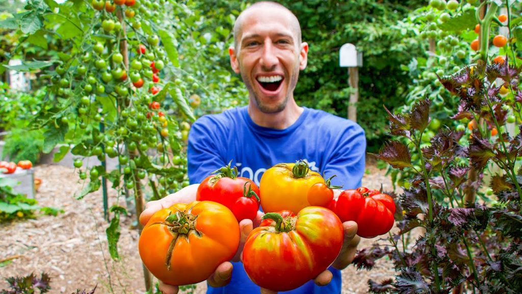James Prigioni: If I Could ONLY Grow 7 Tomato VARIETIES for the Rest of My Life, These are My Choices! If I Could ONLY Grow 7 Tomato VARIETIES for the Rest of My Life, These are My Choices!