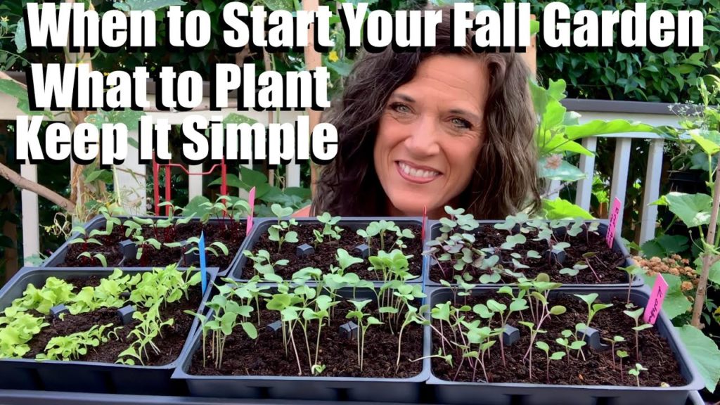 When to Start Your Fall Garden & What to Plant (For Any Climate) /Fall Garden Series #1 🍁🥬🍂🥦🍁