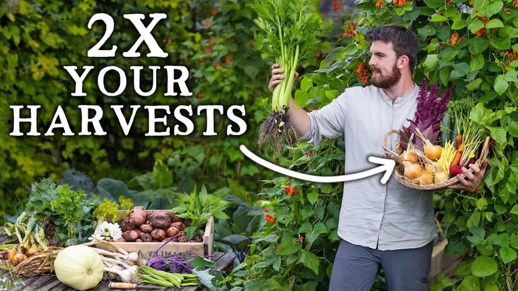 3 Simple Ways to Double Vegetable Garden Yields