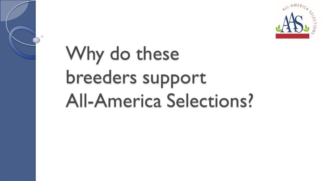 AAS Testimonials from Breeders