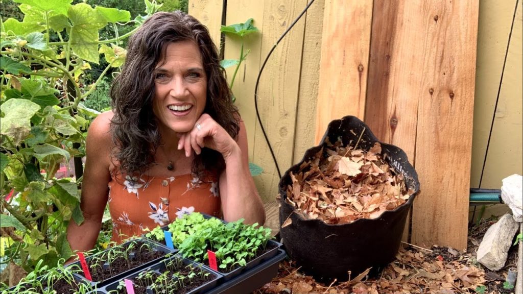 🍁LIVE: Fall Garden Q & A: Growing Carrots, Starting Fall Seeds, Composting Leaves & More 🥕🍂 (REPLAY)