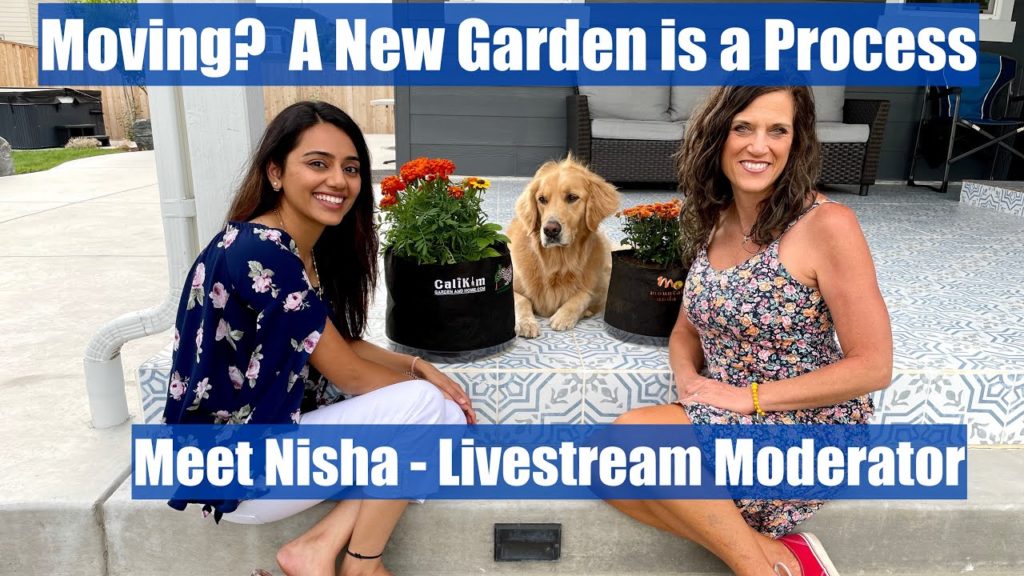 Moving? A New Garden is a Process - Meet Nisha, Livestream Moderator