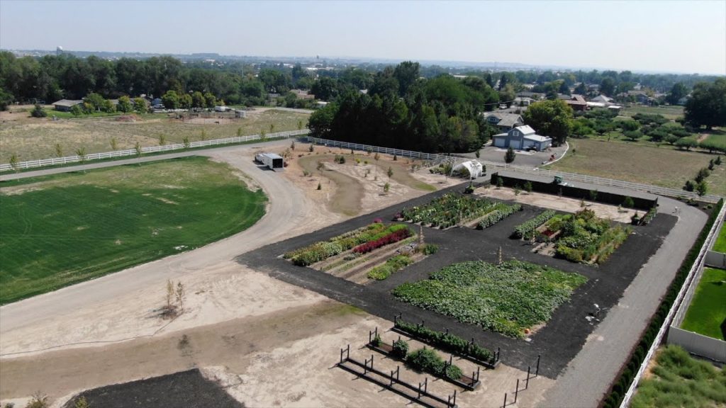 Planting A Wichita Blue Juniper and Blue Blazes Hyssop! 🌲💙 // Garden Answer