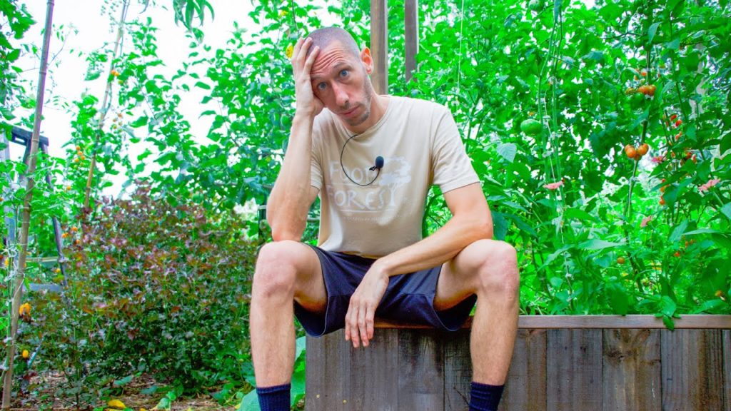 I can't believe this happened...