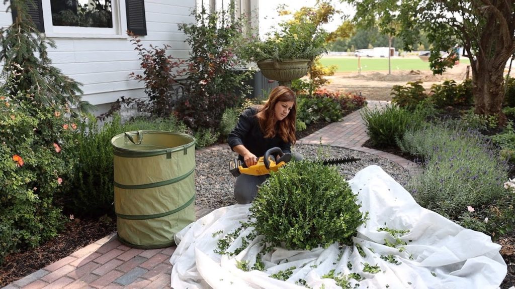 Garden Answer: How We Maintain the Garden by Using Zones! Monday Zone! 🌿✂️💪 // Garden Answer How We Maintain the Garden by Using Zones! Monday Zone! 🌿✂️💪 // Garden Answer