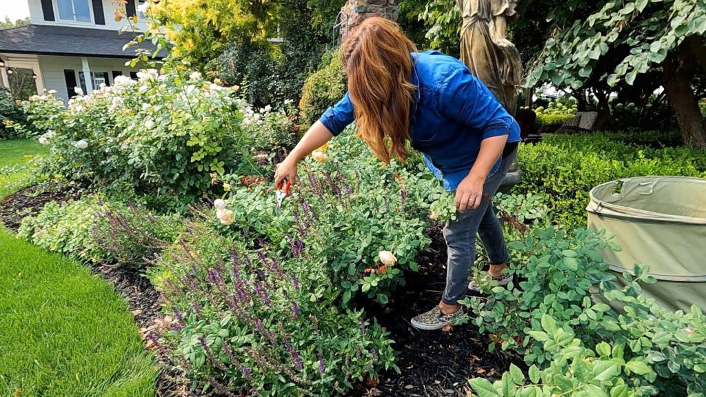 Garden Answer: How We Maintain the Garden by Using Zones! TUESDAY Zone! 💚 // Garden Answer How We Maintain the Garden by Using Zones! TUESDAY Zone! 💚 // Garden Answer