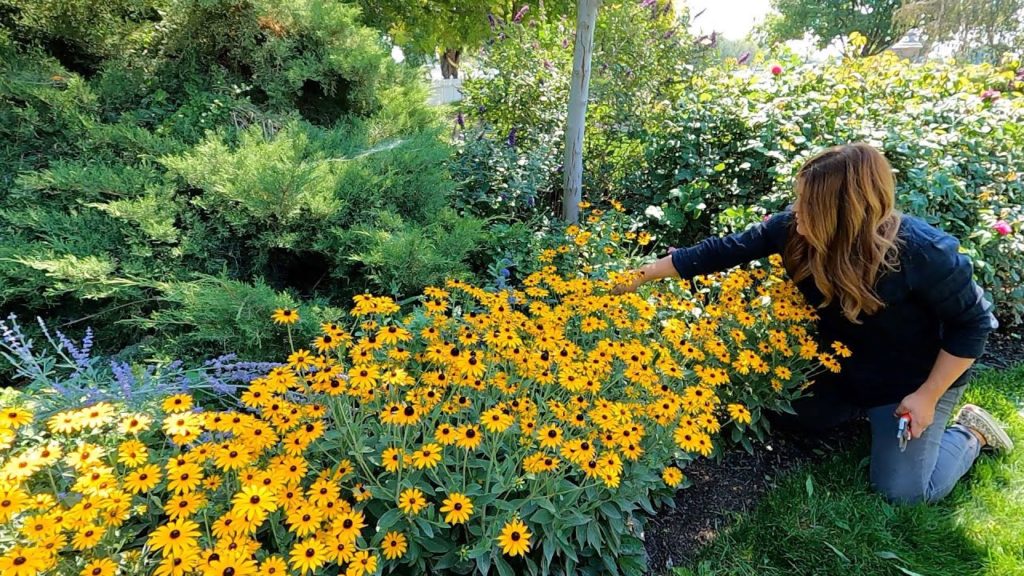 Garden Maintenance - Wednesday Zone! 👍🌿☺️ // Garden Answer