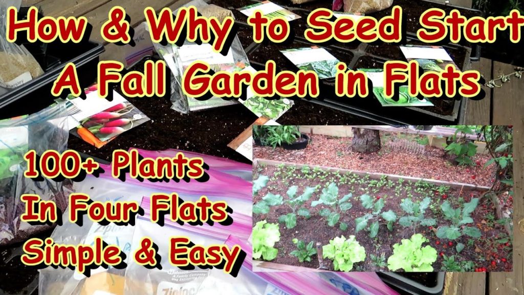 Gary Pilarchik: Start Your Fall Garden in Seed Flats: All the Basic Steps to Save Money, Save Time, & Avoid Problems Start Your Fall Garden in Seed Flats: All the Basic Steps to Save Money, Save Time, & Avoid Problems
