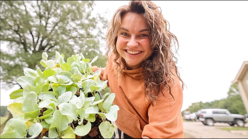 Roots and Refuge Farm: NEVER buy these started plants (and other fall gardening tips and chat) | VLOG NEVER buy these started plants (and other fall gardening tips and chat) | VLOG
