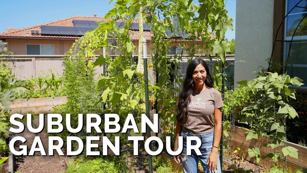 Epic Gardening: She Grows 50% Of Her Groceries At Home π‘ | Suburban Garden Tour She Grows 50% Of Her Groceries At Home π‘ | Suburban Garden Tour