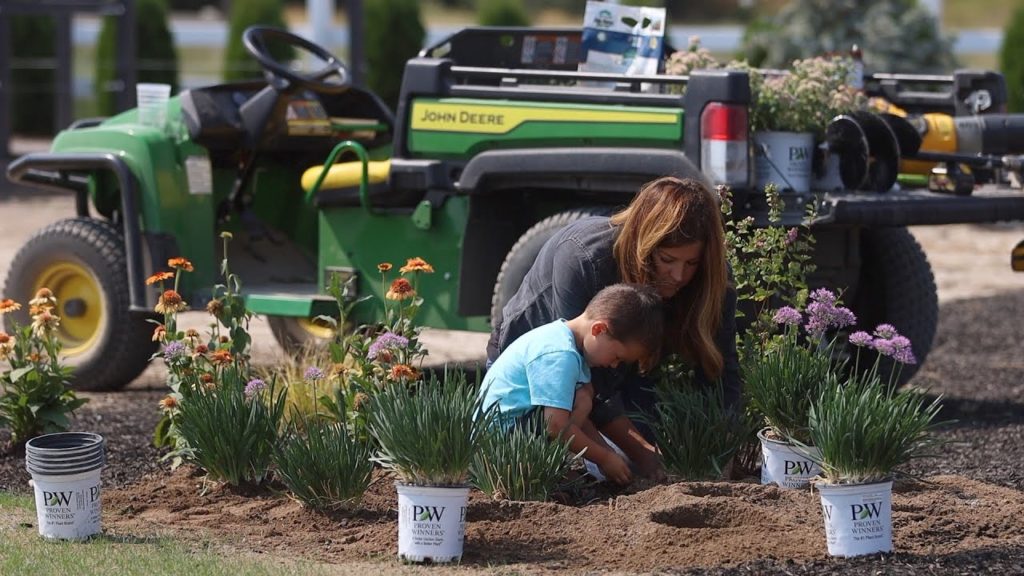 Planting 4 Varieties of Low Maintenance Perennials! 🌿🌸 // Garden Answer