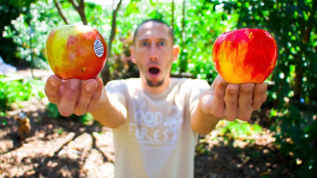 EXPOSED! Store Bought Apples VS Home Grown, This is NOT What I Was Expecting!