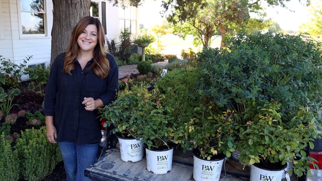 Garden Answer: Planting Arbs, Roses, and Baptisia in the Garden! 🌿// Garden Answer Planting Arbs, Roses, and Baptisia in the Garden! 🌿// Garden Answer