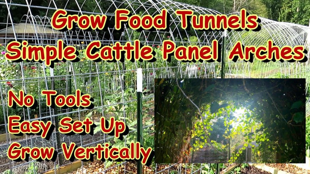 Gary Pilarchik: How to Easily Install Cattle Panel Food Tunnels in Your Vegetable Garden: No Tools Required! How to Easily Install Cattle Panel Food Tunnels in Your Vegetable Garden: No Tools Required!