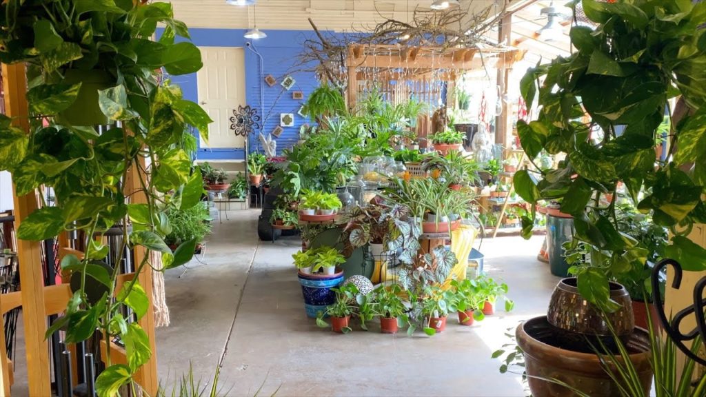 Garden Answer: Garden Center Houseplant Tour! ๐ฟ๐๐ // Garden Answer Garden Center Houseplant Tour! ๐ฟ๐๐ // Garden Answer
