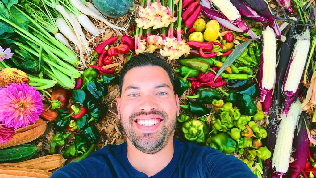 Epic Gardening: HUGE Late Summer Harvest (My Biggest This Year) HUGE Late Summer Harvest (My Biggest This Year)