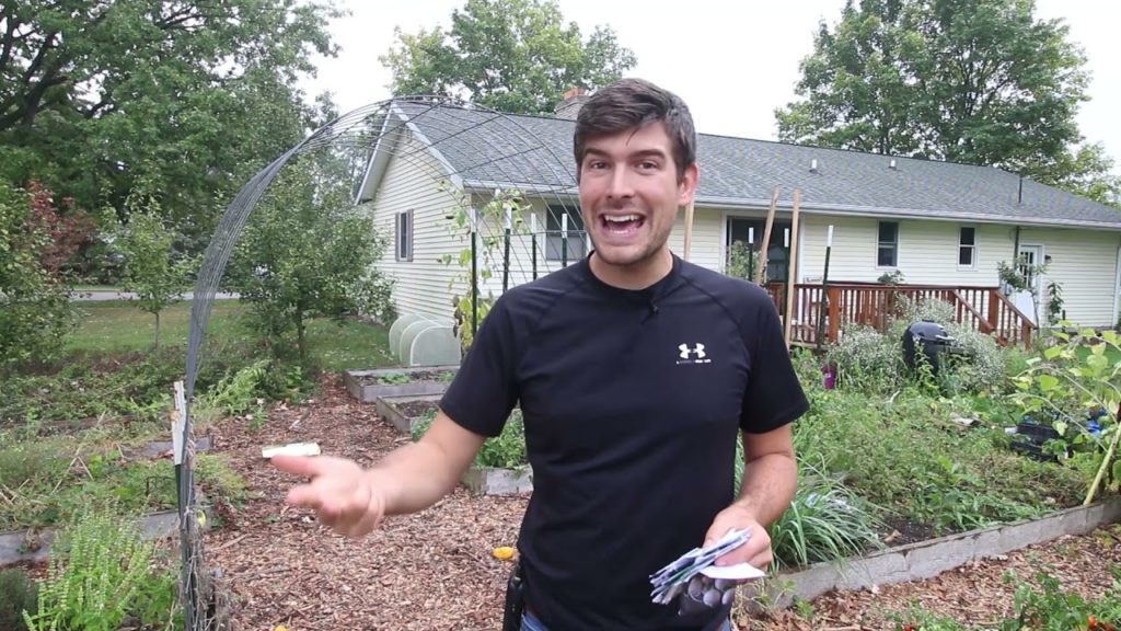 This is My Strategy For a Successful Fall Garden