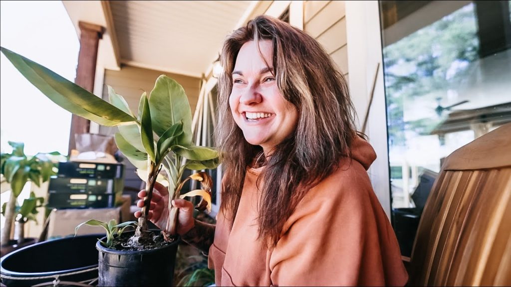 Roots and Refuge Farm: The Houseplant Hunger Games (new seedlings daily) | VLOG The Houseplant Hunger Games (new seedlings daily) | VLOG