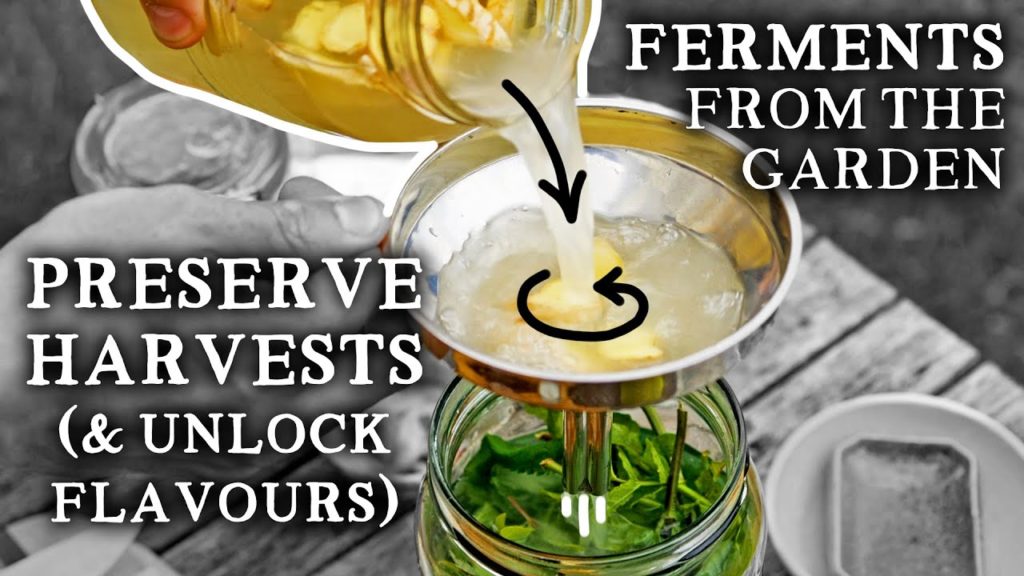 Huw Richards: Kitchen Garden Fermentation Course | The Complete Introduction for Gardeners Kitchen Garden Fermentation Course | The Complete Introduction for Gardeners