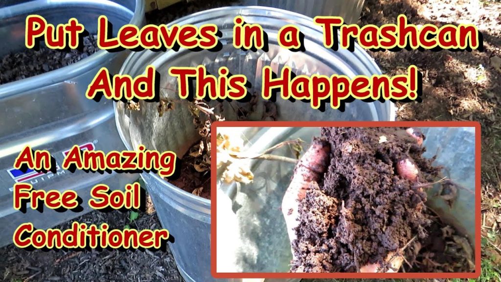 Gary Pilarchik: Make Your Own Amazing Leaf Mold/Compost Soil Conditioner in a Trashcan: So Many Garden Benefits! Make Your Own Amazing Leaf Mold/Compost Soil Conditioner in a Trashcan: So Many Garden Benefits!
