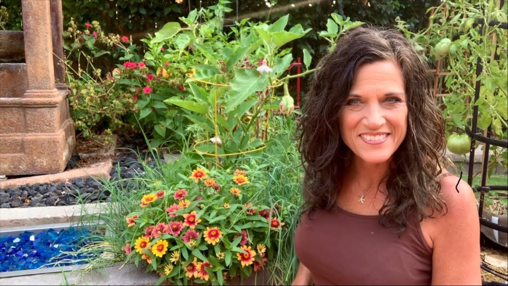 CaliKim: 🍁LIVE: Happy Fall Ya’ll! Last Week of September – What I’m Doing in the Garden (REPLAY0 🍁LIVE: Happy Fall Ya’ll! Last Week of September - What I’m Doing in the Garden (REPLAY0