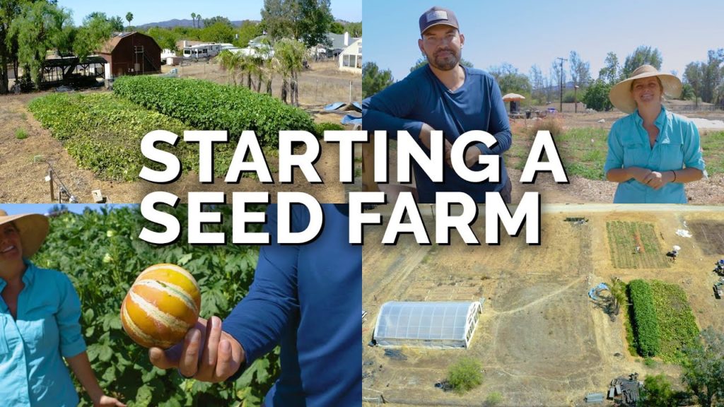 Epic Gardening: Starting a Farm to Grow and Sell Seeds! Starting a Farm to Grow and Sell Seeds!