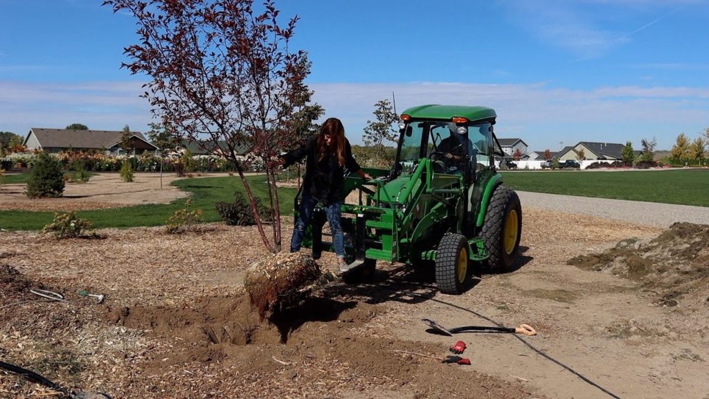Planting the Most Beautiful ‘Royal Raindrops’ Crabapple Tree! 🌳🥰💚 // Garden Answer