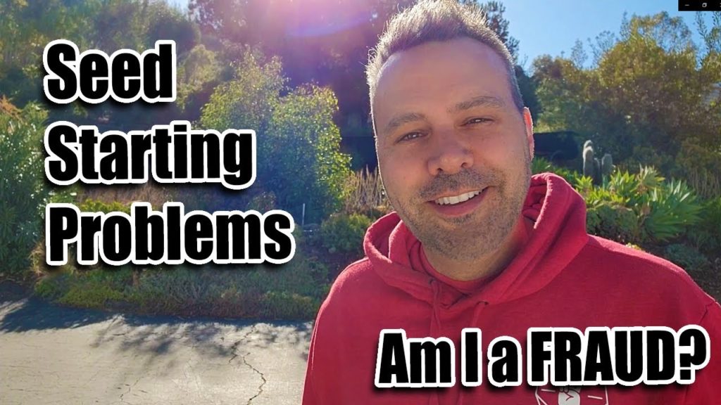 Seed Starting Problems