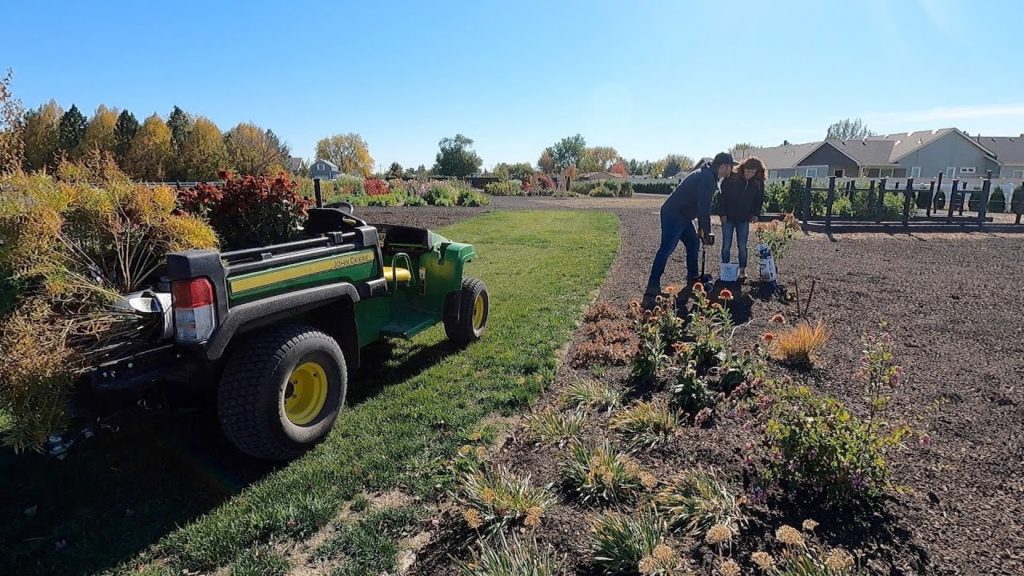 Planting Some Rough Looking Stuff! 😆🍂😬 // Garden Answer