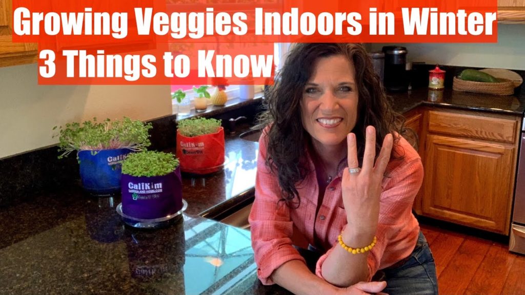 CaliKim: Growing Vegetables Indoors in Winter – 3 Things You Need to Know Growing Vegetables Indoors in Winter - 3 Things You Need to Know