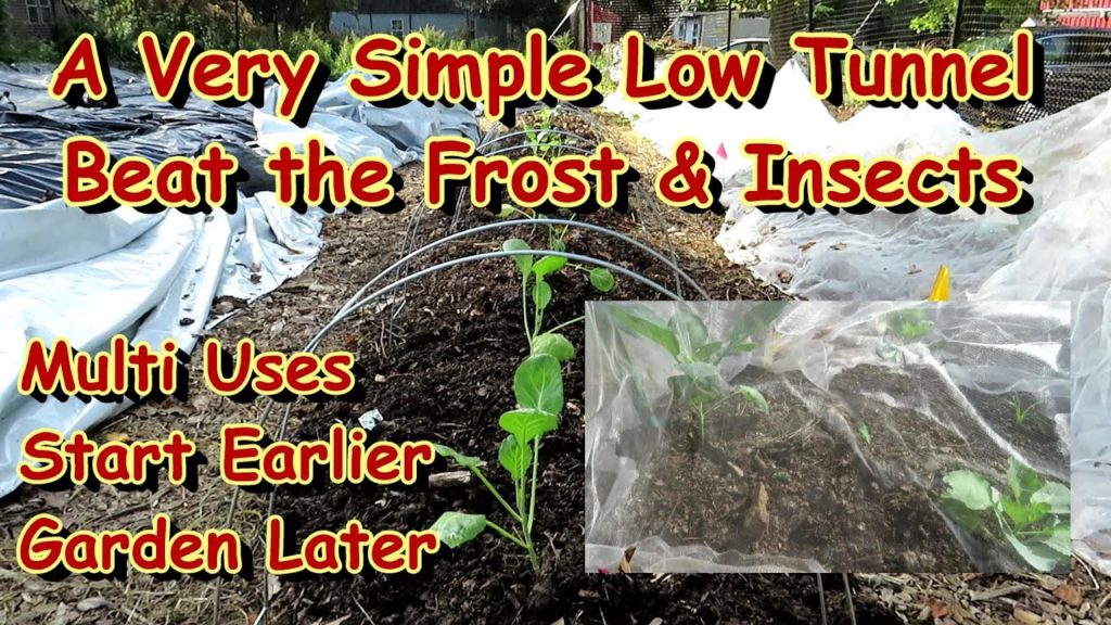 Gary Pilarchik: Build Simple & Inexpensive Garden Low Tunnel Hoops for Multiple Uses: Garden Early/Extend the Season Build Simple & Inexpensive Garden Low Tunnel Hoops for Multiple Uses: Garden Early/Extend the Season