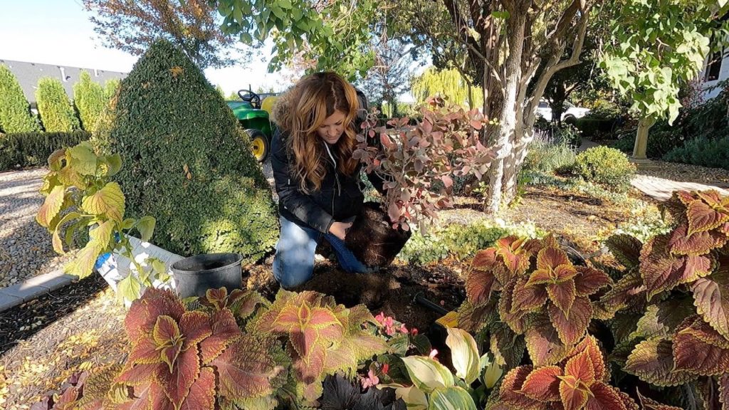 Garden Answer: Planting Garlic, Harvesting Pumpkins & Planting Some Stuff! 🧄🎃🌿 // Garden Answer Planting Garlic, Harvesting Pumpkins & Planting Some Stuff! 🧄🎃🌿 // Garden Answer