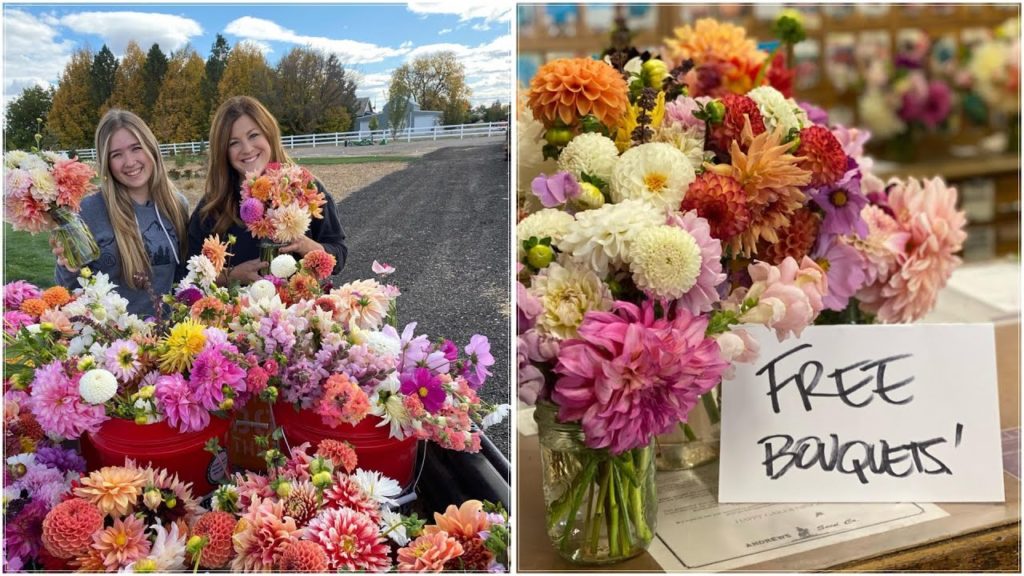 Last Big Vegetable & Flower Harvest! 🌿🌸🥰 // Garden Answer