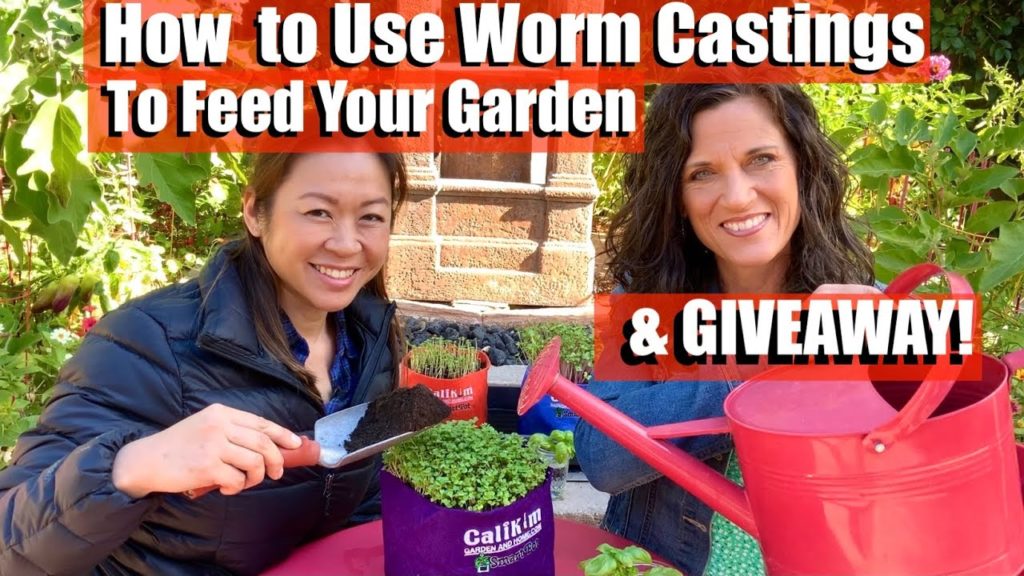 CaliKim: How to Use Worm Castings in Vegetable Garden, Increase Harvests (& GIVEAWAY)/Feeding Your Garden #2 How to Use Worm Castings in Vegetable Garden, Increase Harvests (& GIVEAWAY)/Feeding Your Garden #2