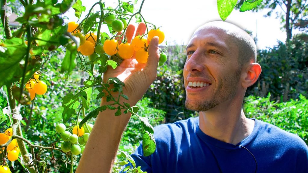 James Prigioni: 3 Incredible Secrets to Growing Tons of Food in a Tiny Garden 3 Incredible Secrets to Growing Tons of Food in a Tiny Garden