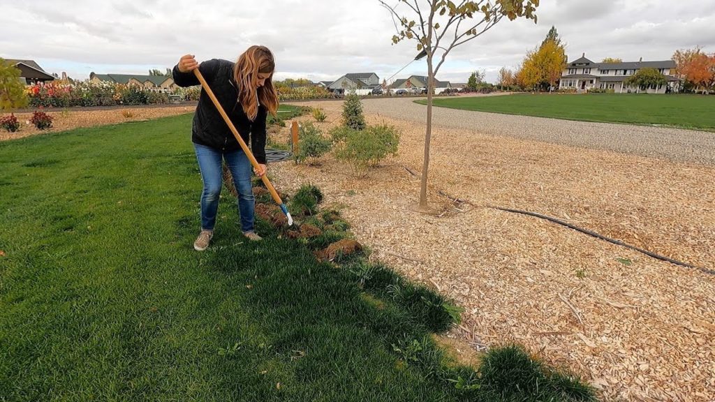 Finally Edging the Grass in the South Garden! 🌿🙌💪 // Garden Answer