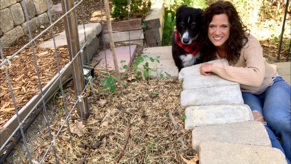 CaliKim: 🥶 LIVE: What to Do With Garden Beds in Winter? & Giveaway Drawing! ☃️ (REPLAY) 🥶 LIVE: What to Do With Garden Beds in Winter? & Giveaway Drawing! ☃️ (REPLAY)