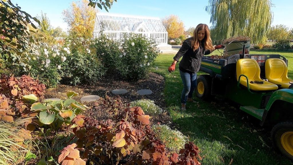 Starting Fall Flower Bed Cleanup! 🌾🍂🥀 // Garden Answer