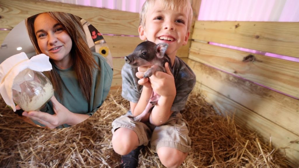 Roots and Refuge Farm: The FIRST babies born on our new farm are HERE! (& the Serial Sourdough Killer) | VLOG The FIRST babies born on our new farm are HERE! (& the Serial Sourdough Killer) | VLOG
