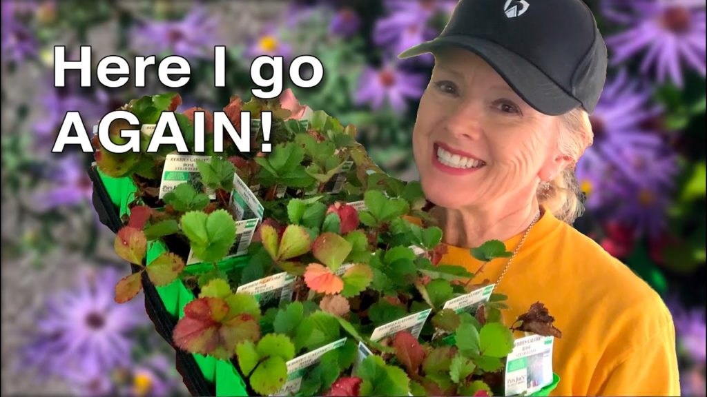 Kaye Kittrell: COULDN'T HELP MYSELF! Trip to the NURSERY for FLOWERS! COULDN'T HELP MYSELF! Trip to the NURSERY for FLOWERS!