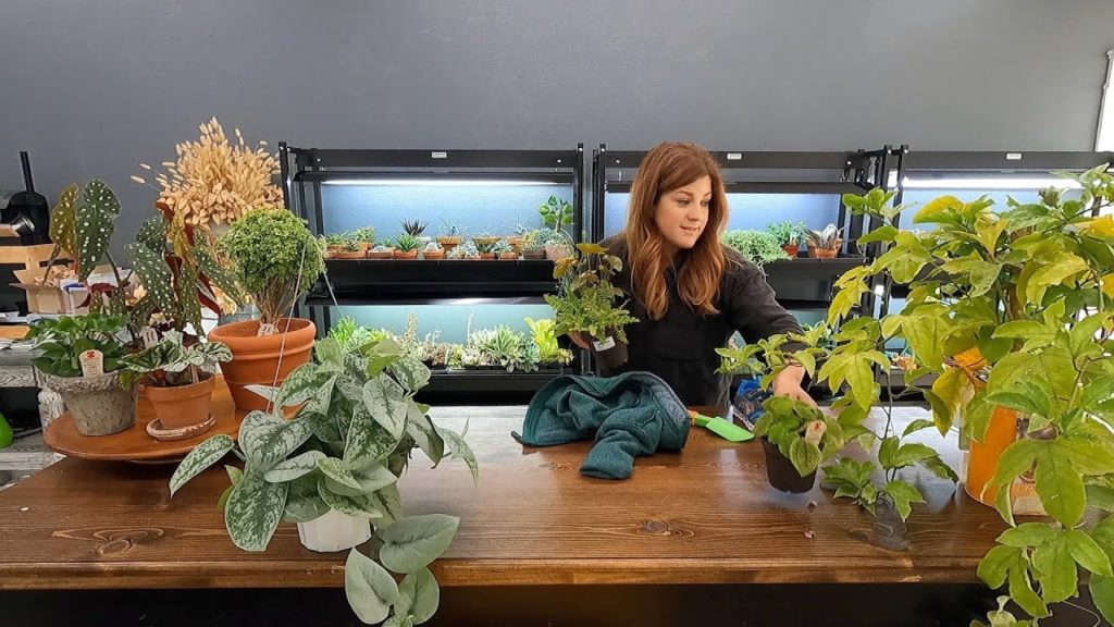 Garden Answer: Unorganized Studio Tour & Potting Up New Houseplants! 🤪🌿😁 // Garden Answer Unorganized Studio Tour & Potting Up New Houseplants! 🤪🌿😁 // Garden Answer