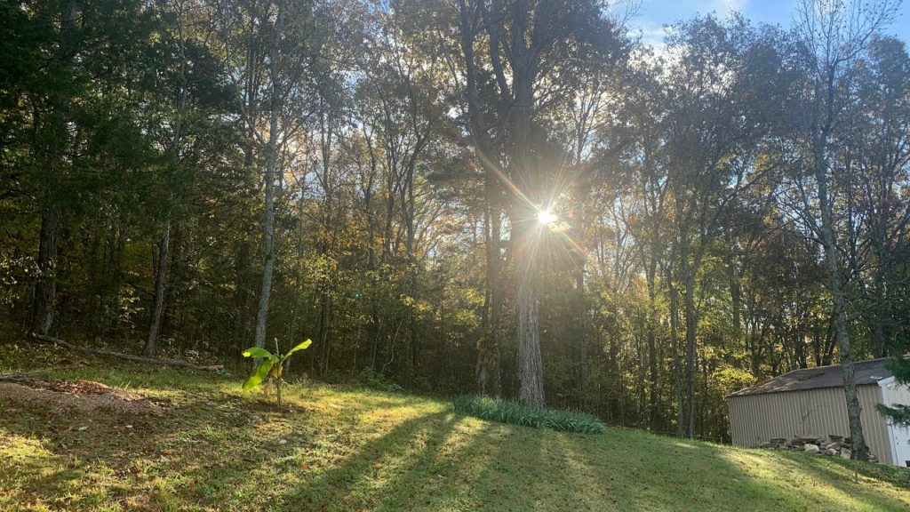 Kaye Kittrell: FIND PEACE IN THE MOMENT FIND PEACE IN THE MOMENT