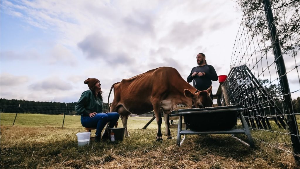 Roots and Refuge Farm: When you don't feel like showing up (some farm updates) | VLOG When you don't feel like showing up (some farm updates) | VLOG