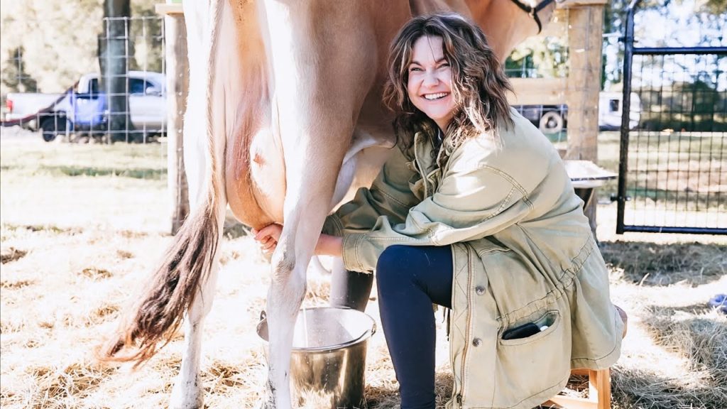 Roots and Refuge Farm: Jars are hot commodities (Milking chat and what I love about homesteading) | VLOG Jars are hot commodities (Milking chat and what I love about homesteading) | VLOG