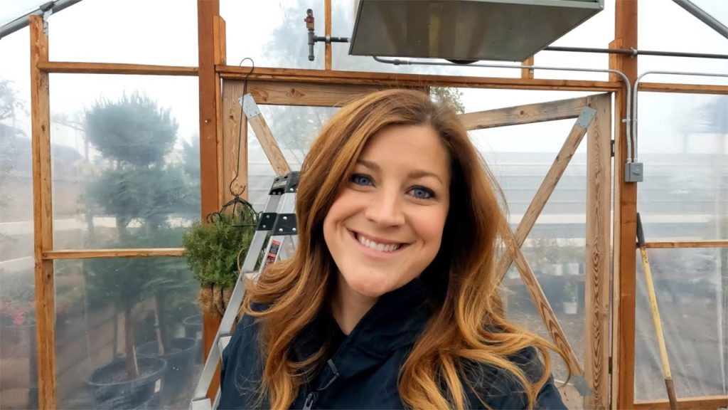 Organizing Around the Greenhouse & Prepping Potted Plants for Winter! 🌿💚❄️ // Garden Answer