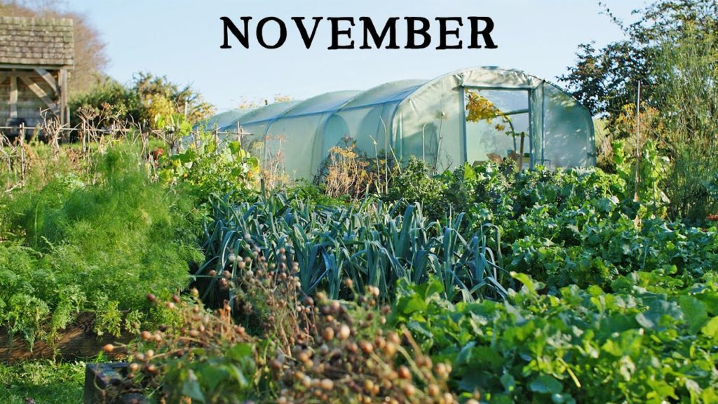 Early November | A Different Kind of Garden Tour
