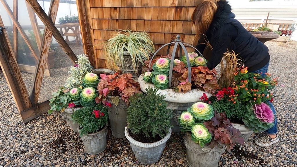 Planting Up All the Pots in Front of the Greenhouse! 🌿🙌🥰  // Garden Answer